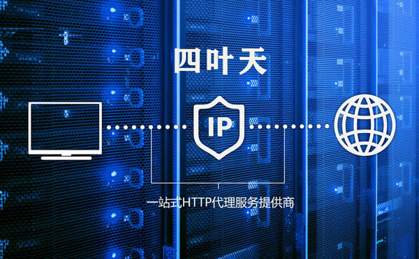 【荣成代理IP】代理IP的主要用途和使用注意事项